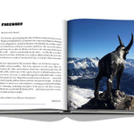 St Moritz Travel Book - Joy