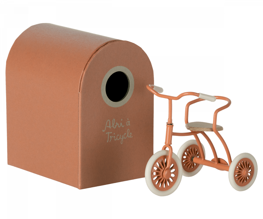 Tricycle for a Mouse - Joy