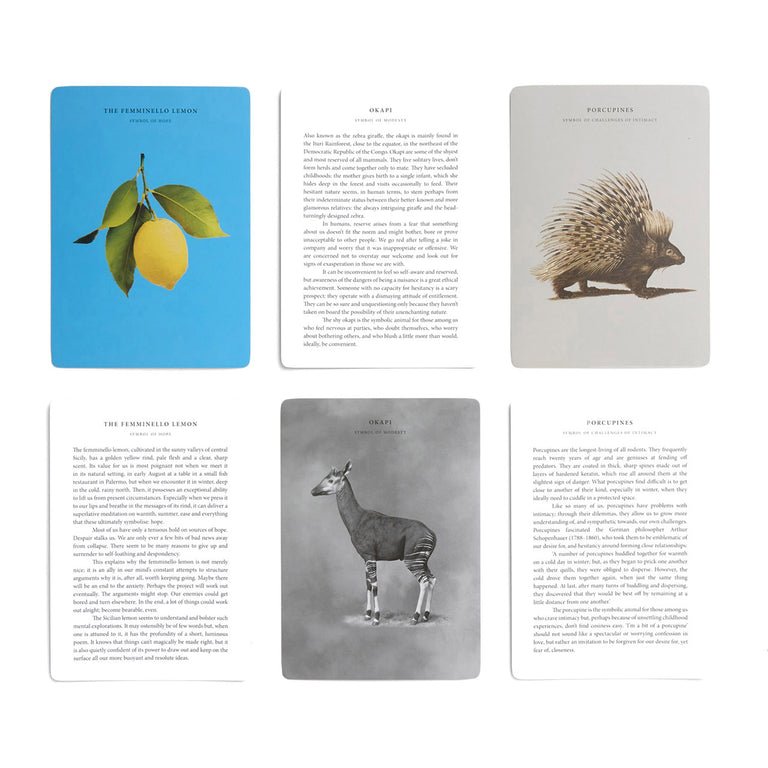Wonder of Nature Card Set - Joy